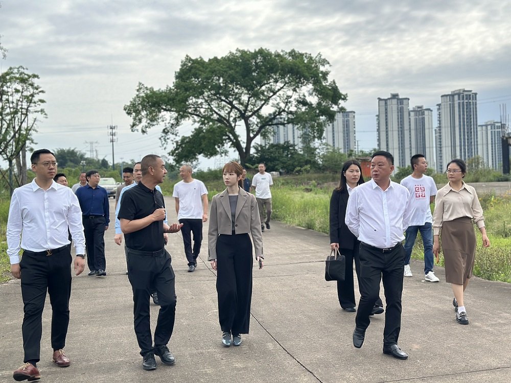 乐动(中国）官网安全访问领导赴宜宾南